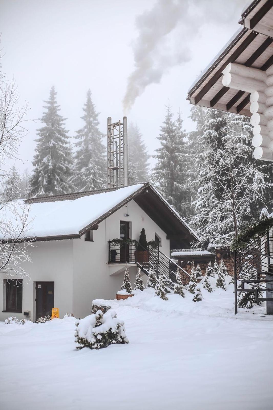 Good Days Shale Resort 4 Км До Буковеля 亚布卢尼齐亚 外观 照片